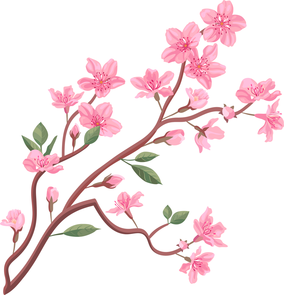 Cherry or peach tree branches with leaves. Flat vector illustrations for spring in Asia, nature, blooming. Sakura blossom